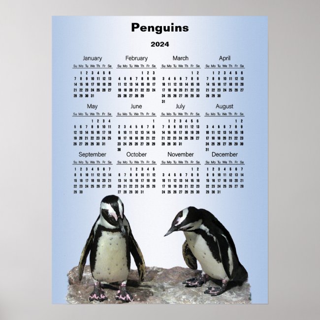 Penguin Birds 2024 Blue Animal Calendar Poster