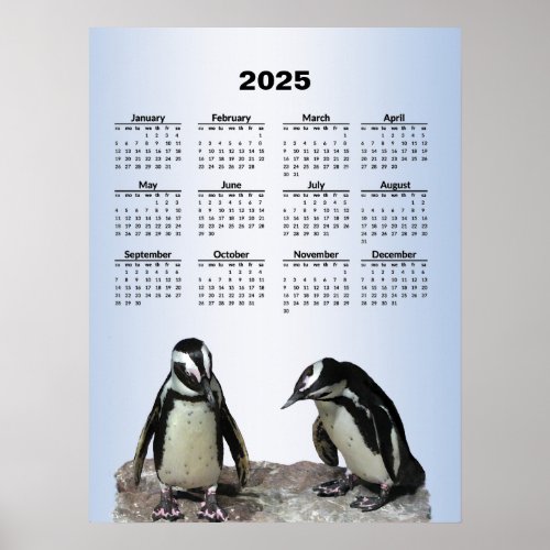 Penguin Birds 2025  Calendar Poster