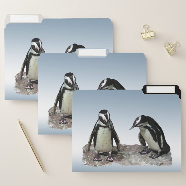Penguin Birds Blue File Folder Set