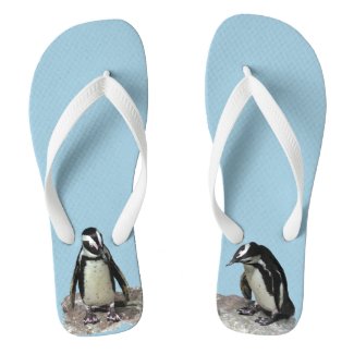 Penguin Birds Flip Flops