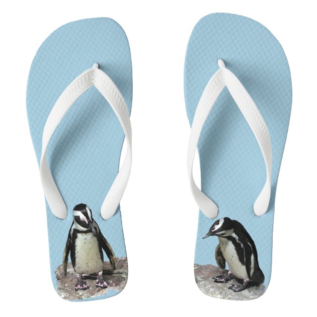 penguin flip flops