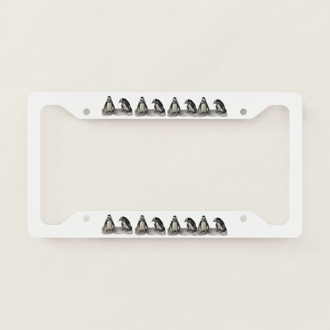 Penguin Birds License Plate Frame (Front)