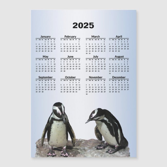 Penguin Birds Nature 2025 Calendar Magnetic Card