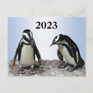 Penguin Birds with 2023 Calendar on Back Postcard
