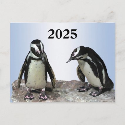 Penguin Birds with 2025 Calendar on Back Postcard