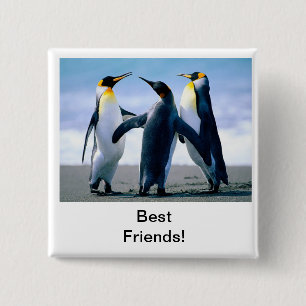 penguin button