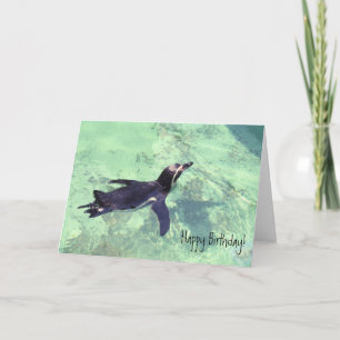 penguin card