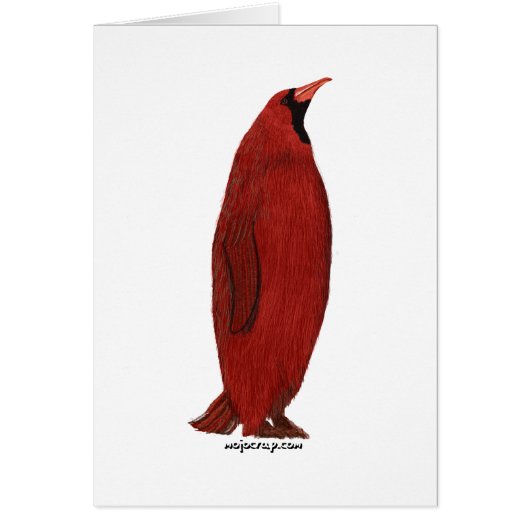 Penguin Cardinal (Male) Cards (Front)