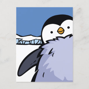 Penguin Chick Close Up Post Card