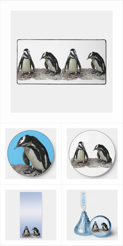 Penguin Clothing and Accessories