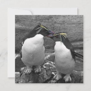 Penguin Color Splash Save The Date