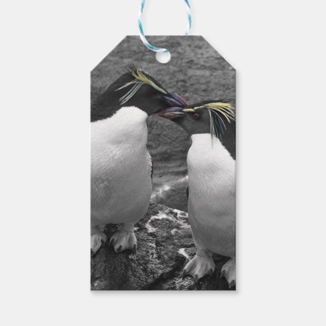 Penguin Colour Splash Gift Tags (Front)