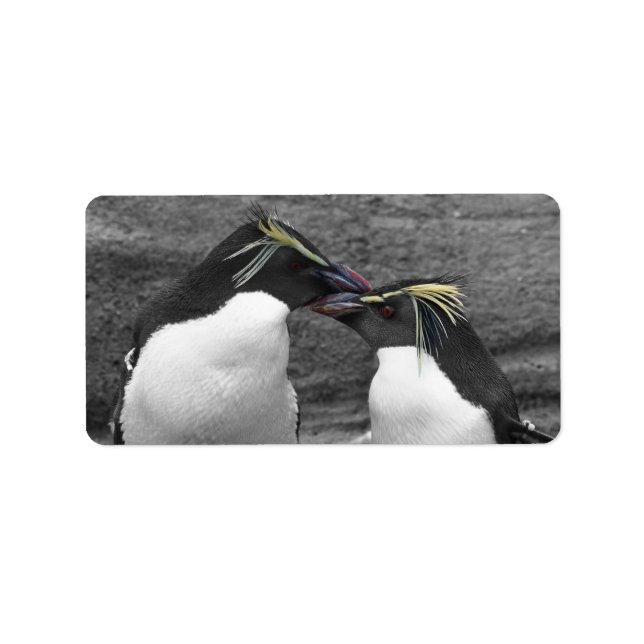 Penguin Colour Splash Label (Front)