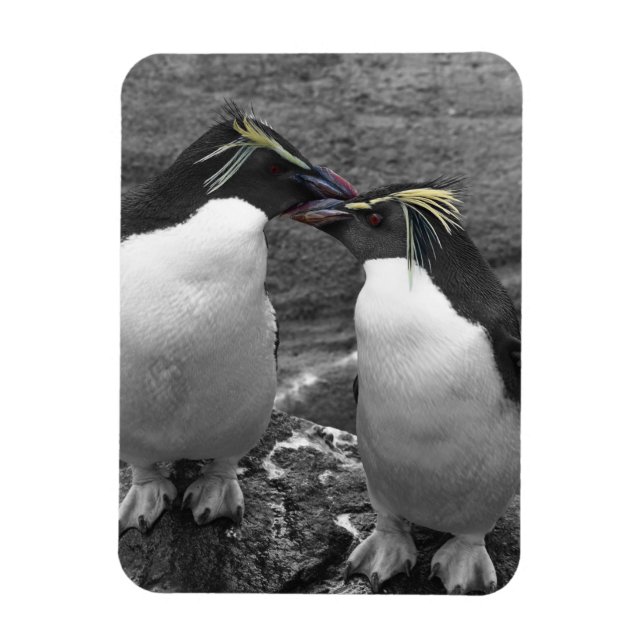 Penguin Colour Splash Magnet (Vertical)