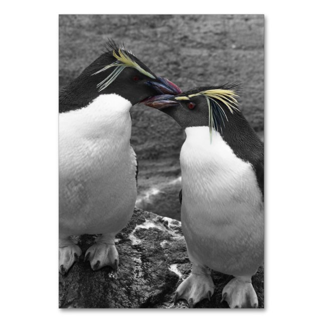 Penguin Colour Splash Table Number (Front)