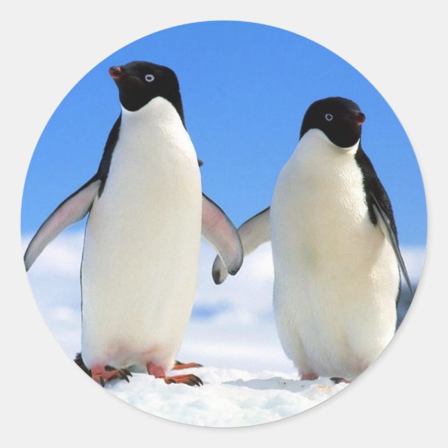 Penguin Couple Classic Round Sticker (Front)