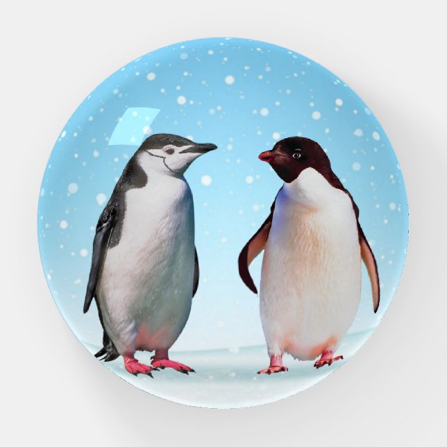 Penguin Couple on Light Blue Paperweight (Front)