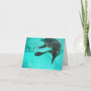 Penguin diving in blue water on a blank note card
