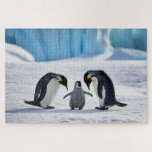 Penguin Family Puzzle<br><div class="desc">penguin family puzzle</div>