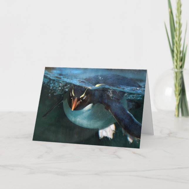PENGUIN Folded Note Card (Front)