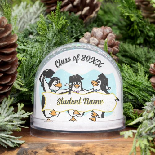 Penguin Friends Graduation Snow Globe