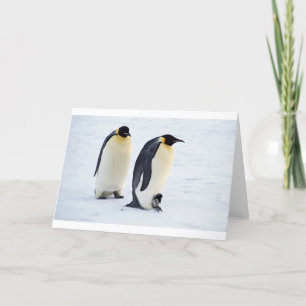 Penguin frozen ice snow bird weather cute animals letterpress thank you card