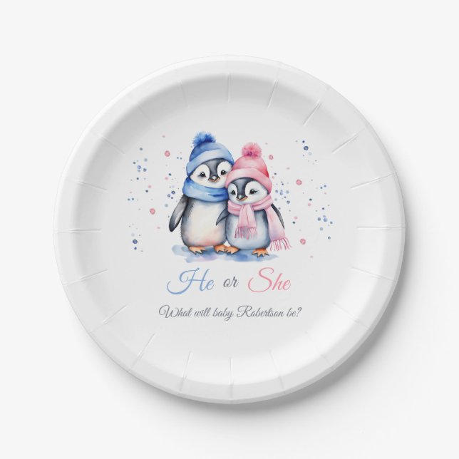 Penguin Gender Reveal He or She Winter Baby Shower Paper Plates (Front)