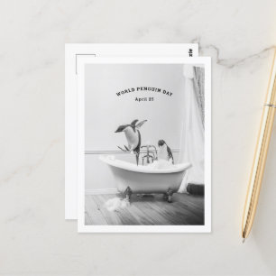Penguin in a bathtub postcard