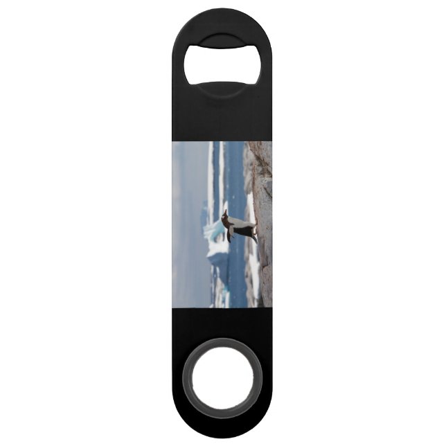 Penguin in front of an ice arch bar key (Back)