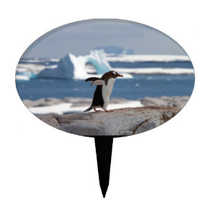 Penguin in front of an ice arch cake topper