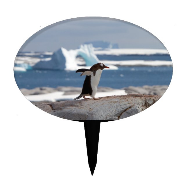 Penguin in front of an ice arch cake topper (Front)