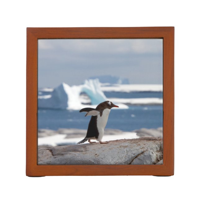 Penguin in front of an ice arch desk organizer (Back)