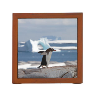 Penguin in front of an ice arch desk organizer