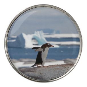 Penguin in front of an ice arch golf ball marker