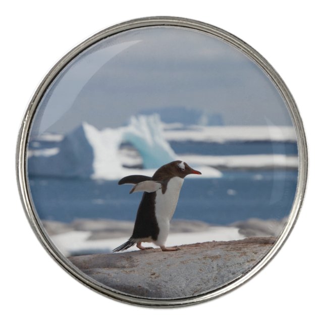 Penguin in front of an ice arch golf ball marker (Front)