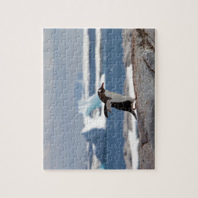 Penguin in front of an ice arch jigsaw puzzle (Vertical)