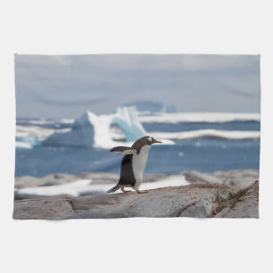 Penguin in front of an ice arch kitchen towel