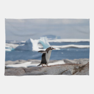 https://rlv.zcache.com/penguin_in_front_of_an_ice_arch_kitchen_towel-r932cc647f95c4577b04af17e5180c3ce_2cf11_8byvr_307.jpg