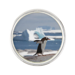 Penguin in front of an ice arch lapel pin