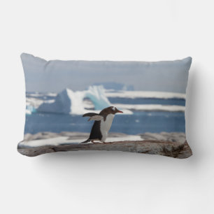 Penguin in front of an ice arch lumbar pillow