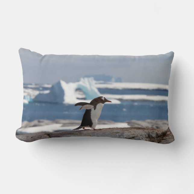 Penguin in front of an ice arch lumbar pillow (Front)