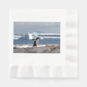Penguin in front of an ice arch napkins