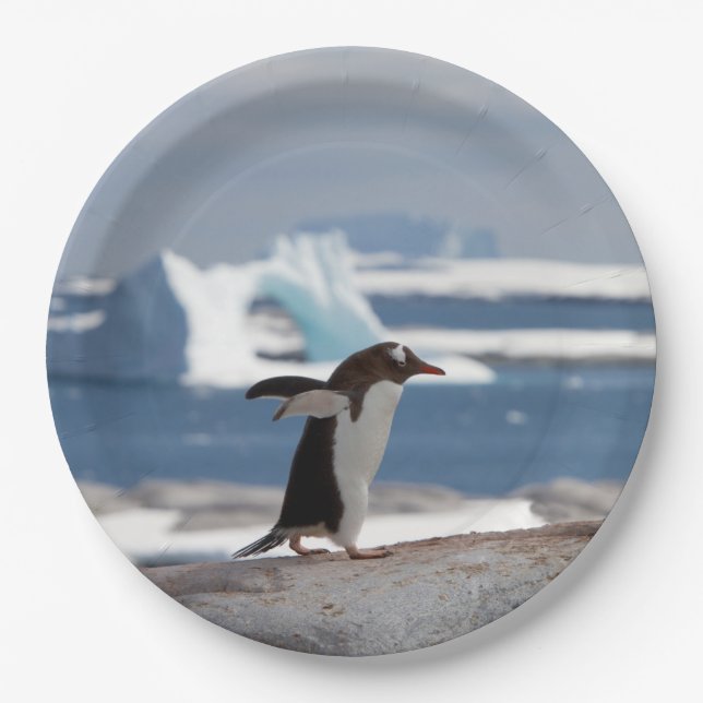 Penguin in front of an ice arch paper plates (Front)