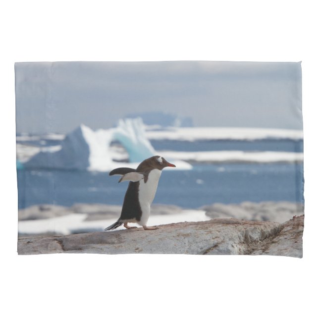 Penguin in front of an ice arch pillow case (Front)