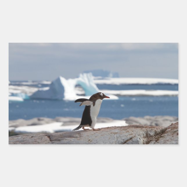 Penguin in front of an ice arch rectangular sticker (Front)