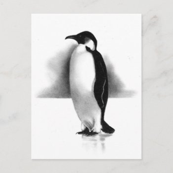Penguin In Pencil: Realism Art Postcard by joyart at Zazzle