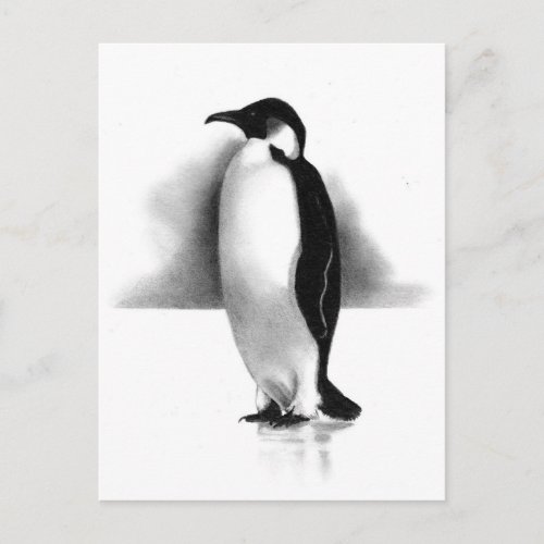 PENGUIN IN PENCIL REALISM ART POSTCARD