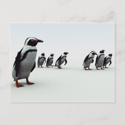 Penguin Line_up Postcard