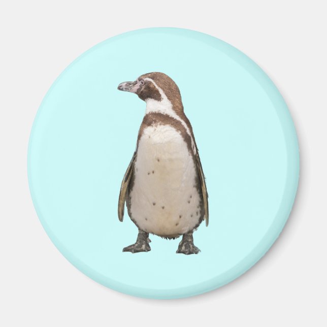 Penguin Magnet (Front)
