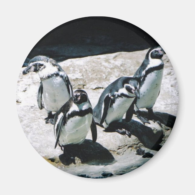 Penguin Magnet (Front)